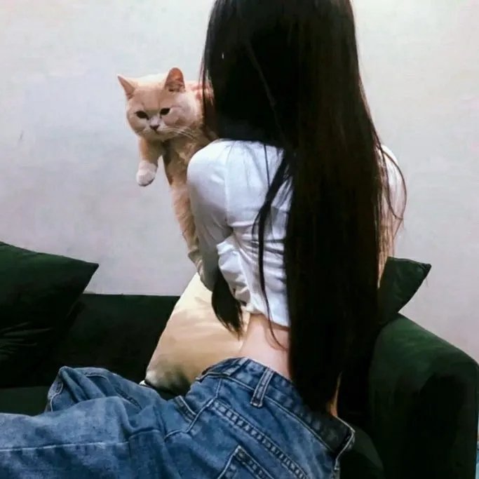 变身侠阿奔第二季