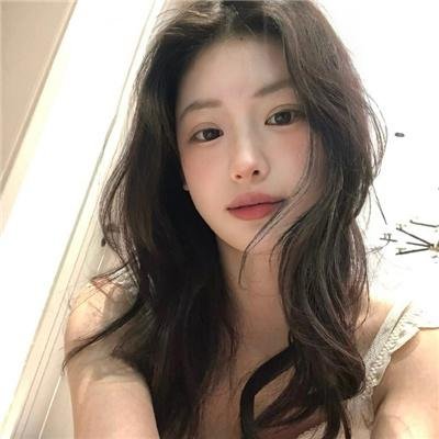 新·驯龙高手